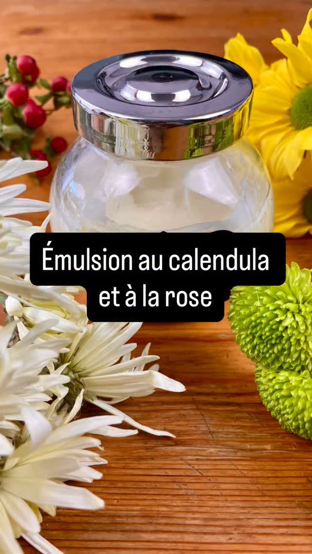 Emulsion luxueuse au calendula et à la rose 🌼

J’ai toujours adoré l’arôme de l’hydrolat de rose et je voulais l’utiliser dans une crème. Combinée à une huile infusée au calendula, cette crème hydratante est un véritable bonheur pour la peau notamment en été. Et elle sent incroyablement bon.

🌻Ingrédients

Phase huileuse

• Beurre de karité – 30 g

• Huile infusée au calendula – 45 g

• Cire d’abeille – 7 g

Phase aqueuse

• Hydrolat de rose – 75 g

• Gel d’aloe vera – 10 g

Phase de refroidissement

• Huile de vitamine E – 0,3 g

🌼Instructions

  Stérilisation : Stérilisez tout le matériel.
 Phase huileuse
 • Dans un bain-marie, faites fondre doucement : beurre de karité , huile infusée au calendula et cire d’abeille.
 • Remuez de temps en temps jusqu’à ce que tout soit complètement fondu.

  Phase aqueuse
 • Chauffez l’hydrolat de rose et le gel d’aloe vera dans un récipient séparé jusqu’à ce qu’ils atteignent une température similaire à celle de la phase huileuse – environ 50 °C. (Évitez de surchauffer.)
 
Émulsion
 • Retirez du feu et versez lentement la phase aqueuse dans la phase huileuse tout en mélangeant avec un mixeur plongeant.
 • Mélangez pendant 3 à 5 minutes jusqu’à obtenir une texture crémeuse. 
 • Laissez refroidir à une température inférieure à 40 °C.

  Phase de refroidissement
 •Incorporez l’huile de vitamine E et le conservateur si vous en utilisez un.
 • Mélangez doucement mais soigneusement pour bien combiner.
 • Vérifiez le pH du produit pour s’assurer qu’il est dans la plage du conservateur (2-7).
 Conservation : Transférez dans un pot ou une bouteille-pompe propre et stérilisé(e). Conservez dans un endroit frais et sec, à l’abri de la lumière directe du soleil.

Quantité : Environ 120 g 

Durée de conservation : 6 mois sans conservateur / 12 mois avec. #diycosmetique #cosmetiquesmaison #diybeauté #soinsnaturels #cosmetiquenaturelle #beautenaturelle #soinfaitmaison #routinenaturelle #crememaison #calendula #beauteholistique #routinebienetre #skincaremaison #soinnaturel #remedenaturel #calendula #diycosmetics #slowliving #greencosmetics #slowcosmetique #greenbeautyfrance