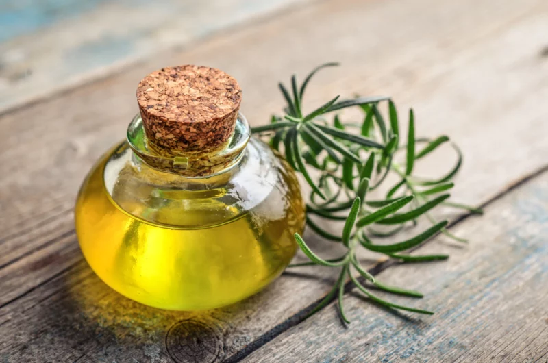 La romarin: l’herbe du souvenir (+ recette huile capillaire)